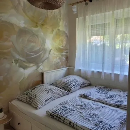 Casa vacanze Boglar Vintage